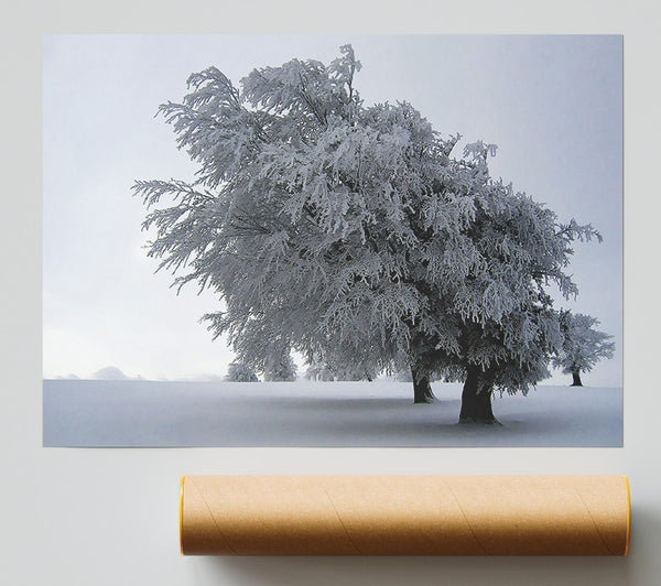 In The Dead Of Winter Poster