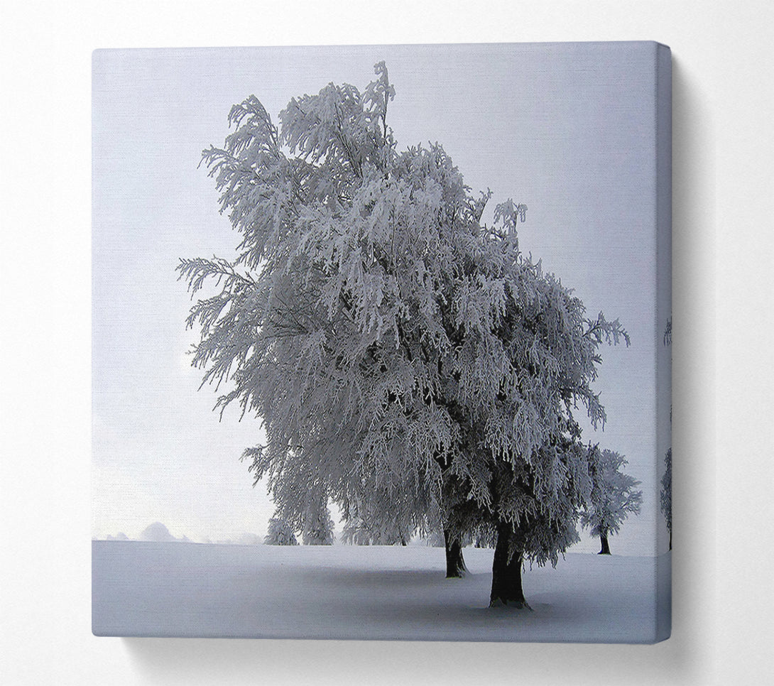  A Canvas Print of In The Dead Of Winter Canvas Wall Art