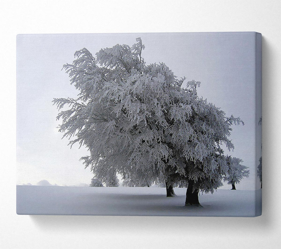  A Canvas Print of In The Dead Of Winter Canvas Wall Art