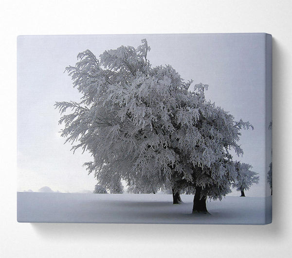  A Canvas Print of In The Dead Of Winter Canvas Wall Art