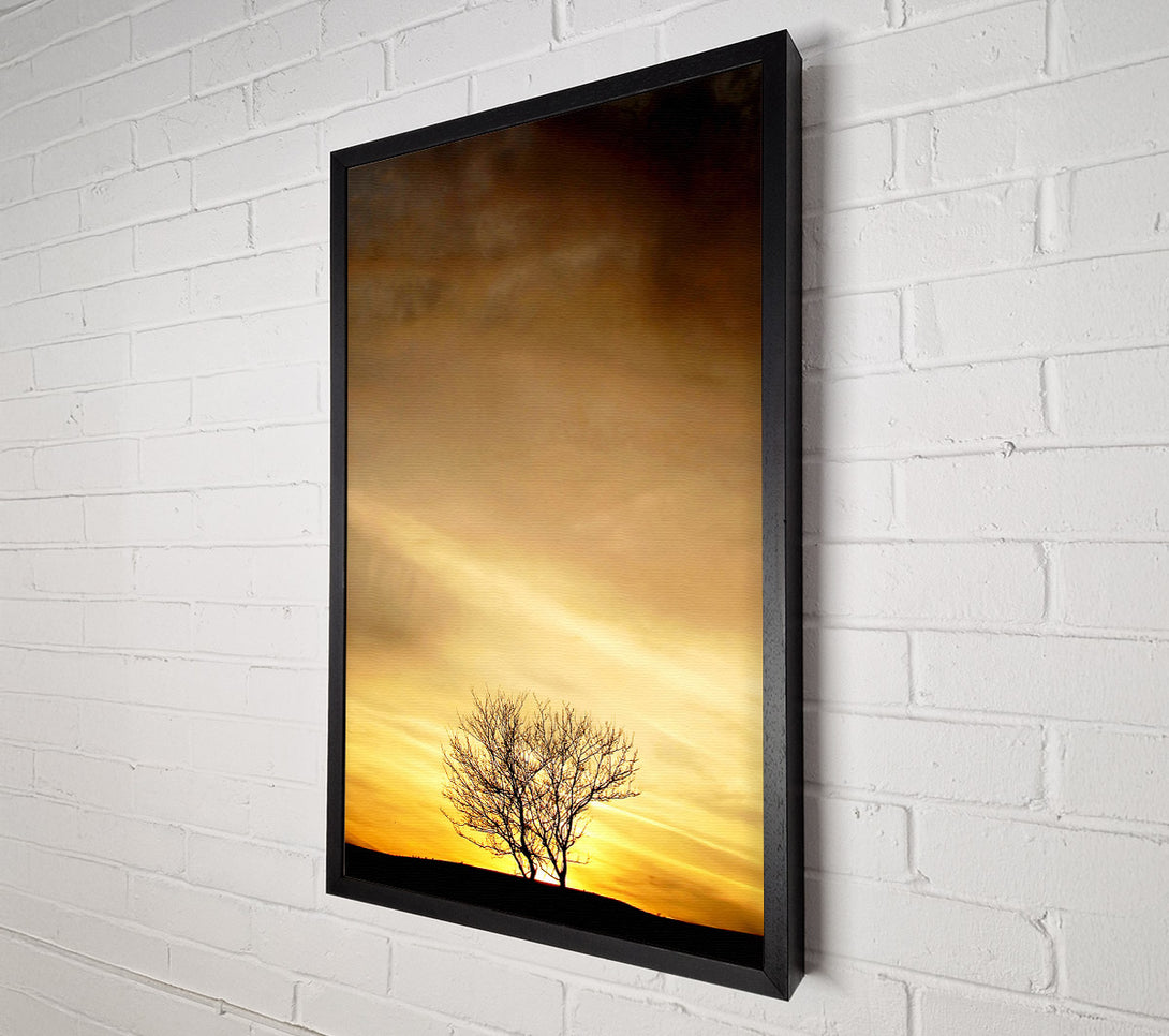  A Canvas Print of The Lonely Tree At Dusk Canvas Print
