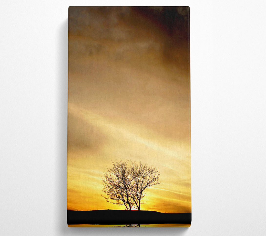  A Canvas Print of The Lonely Tree At Dusk Canvas Print