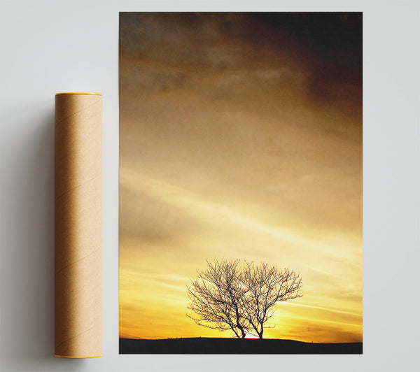 The Lonely Tree At Dusk Giclee Print
