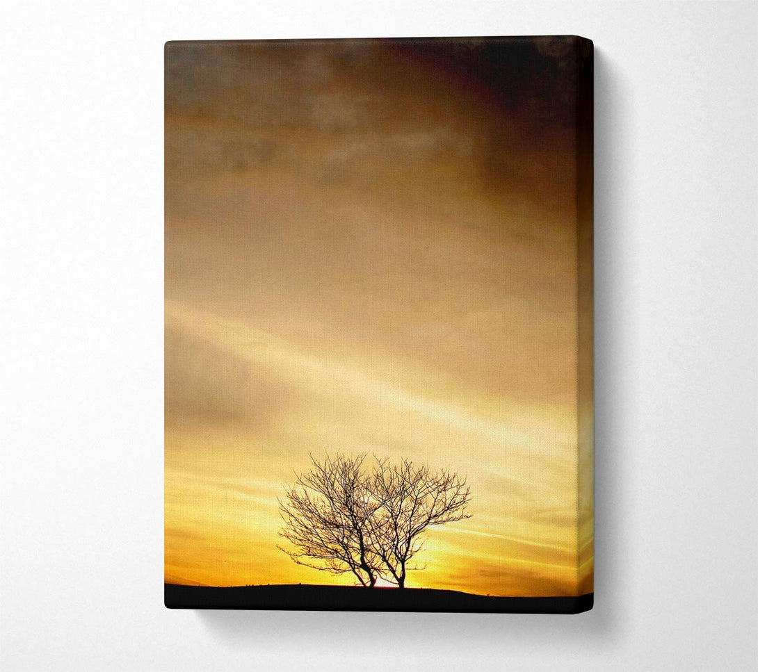  A Canvas Print of The Lonely Tree At Dusk Canvas Print