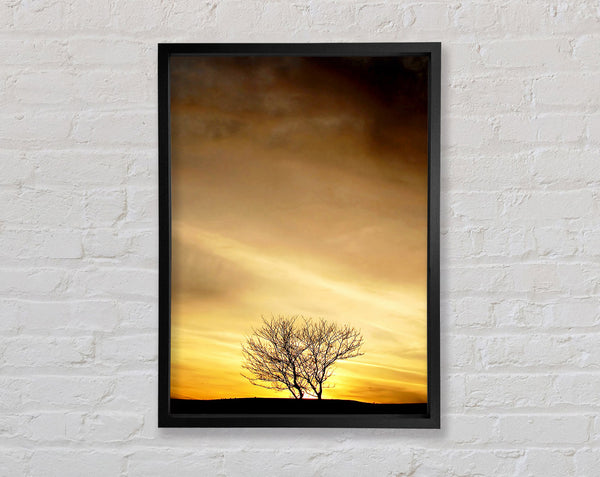 The Lonely Tree At Dusk Framed Print