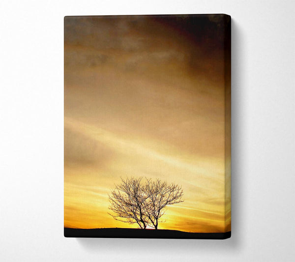  A Canvas Print of The Lonely Tree At Dusk Canvas Print