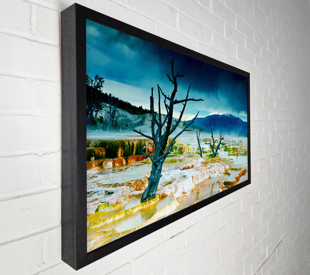  A Canvas Print of Snow Desert Trees Canvas Art