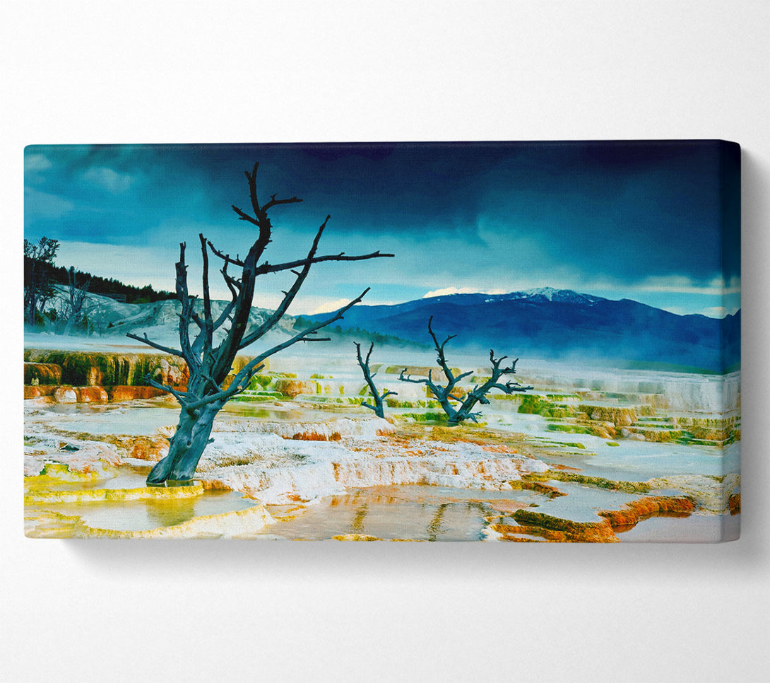  A Canvas Print of Snow Desert Trees Canvas Art
