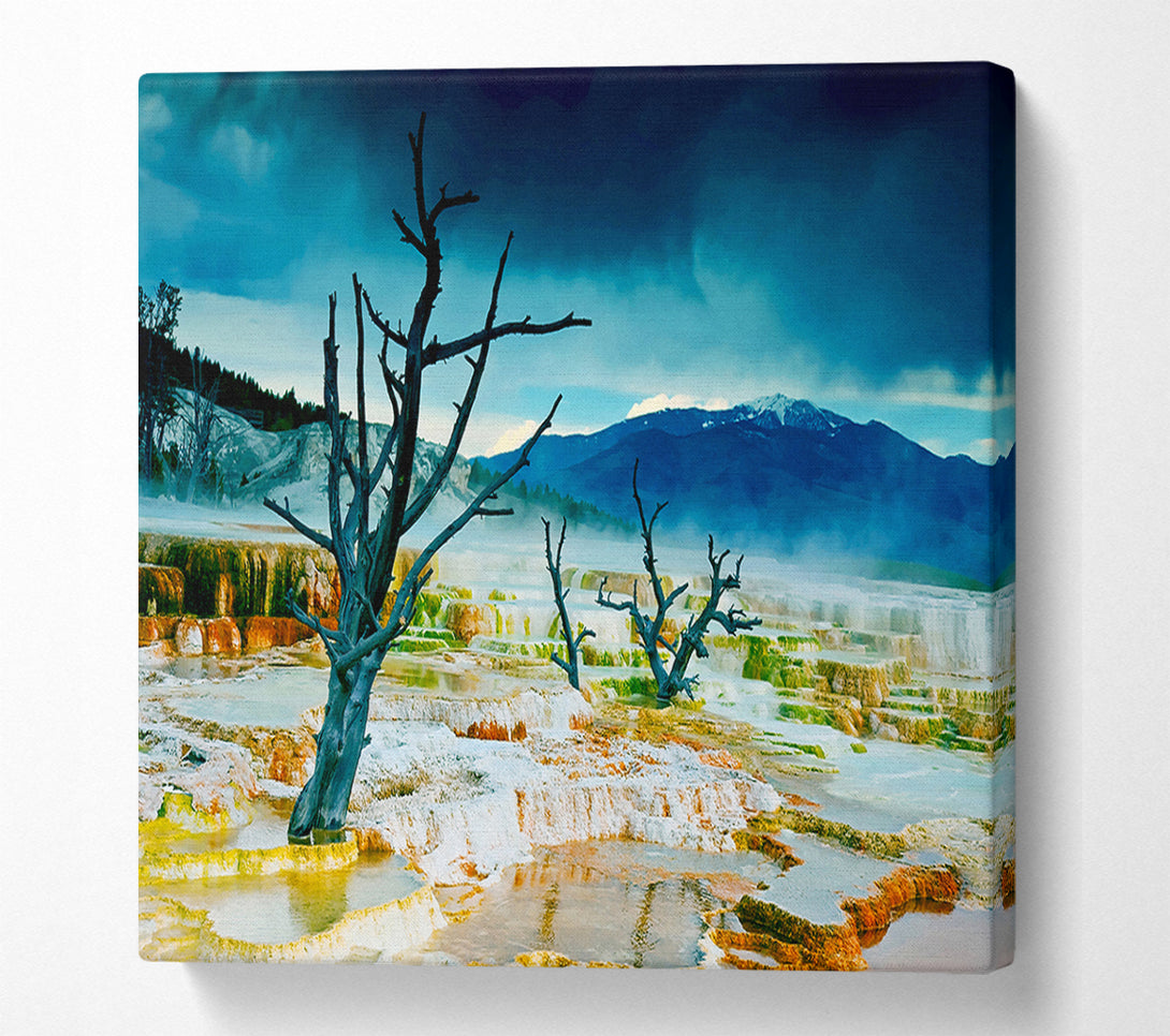  A Canvas Print of Snow Desert Trees Canvas Art