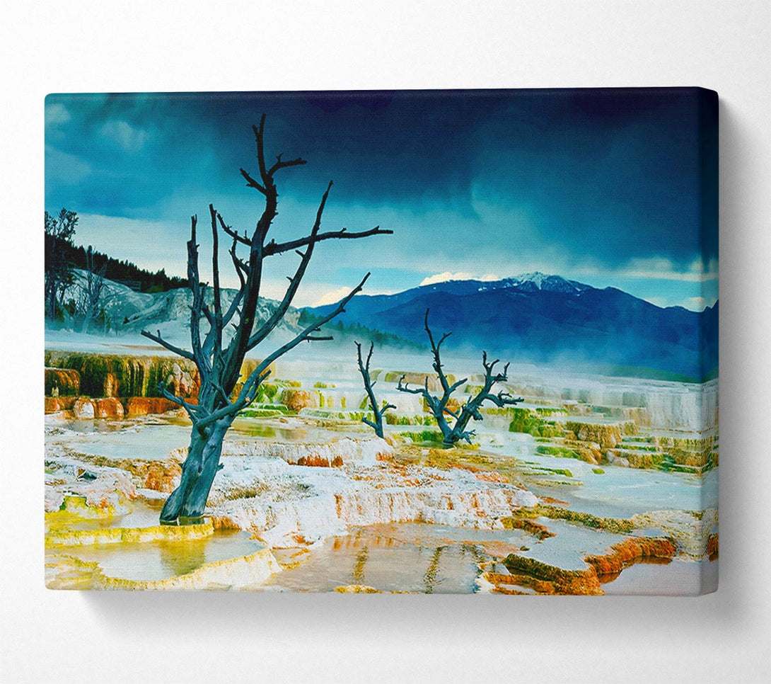  A Canvas Print of Snow Desert Trees Canvas Art