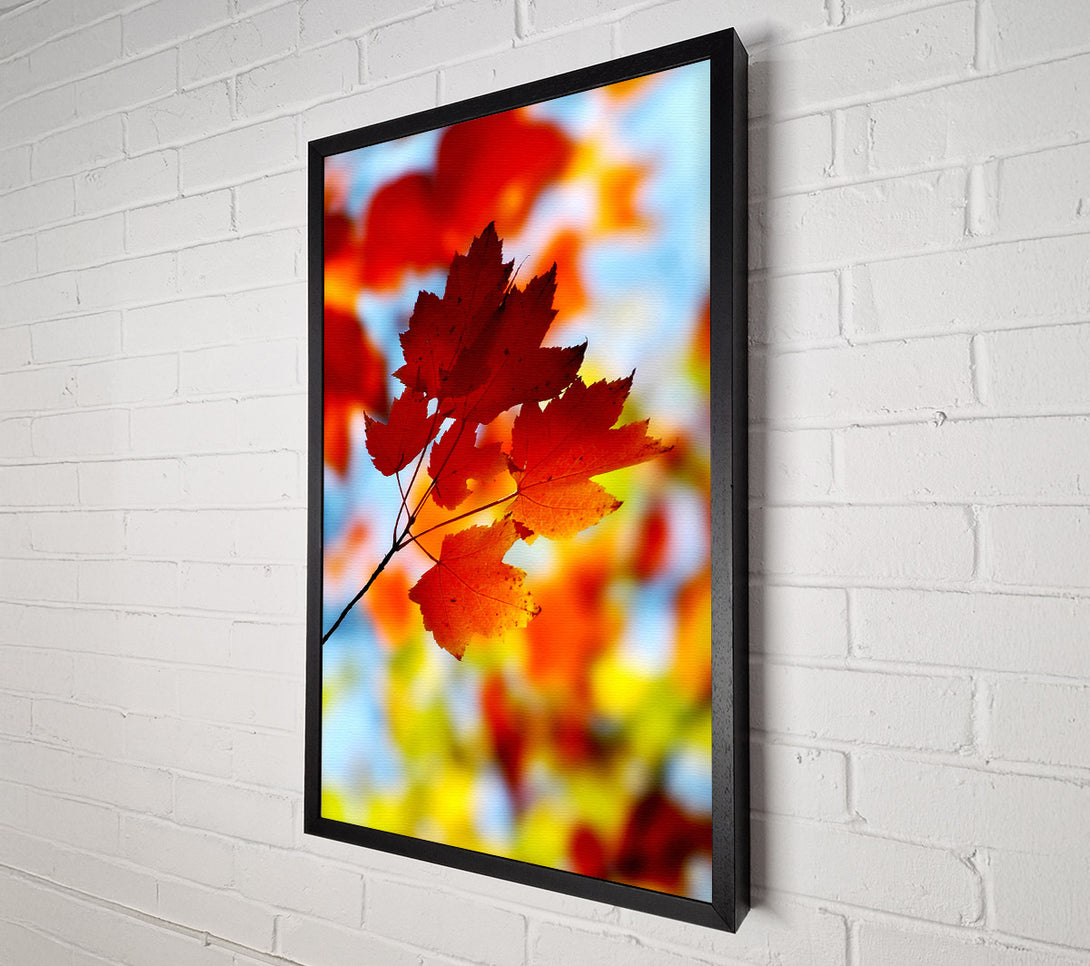  A Canvas Print of Sun Through The Autumn Leaves Canvas Wall Art