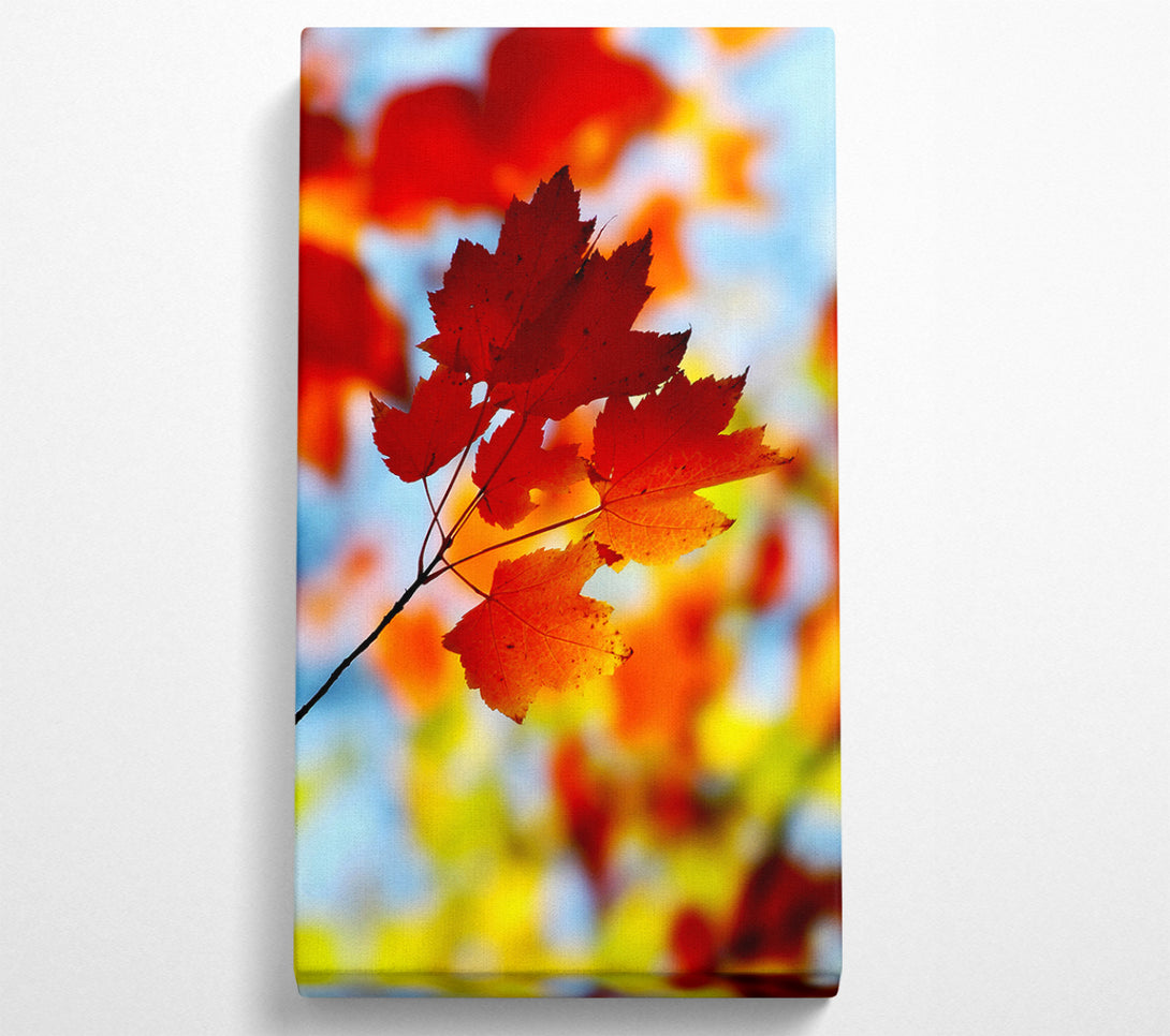  A Canvas Print of Sun Through The Autumn Leaves Canvas Wall Art