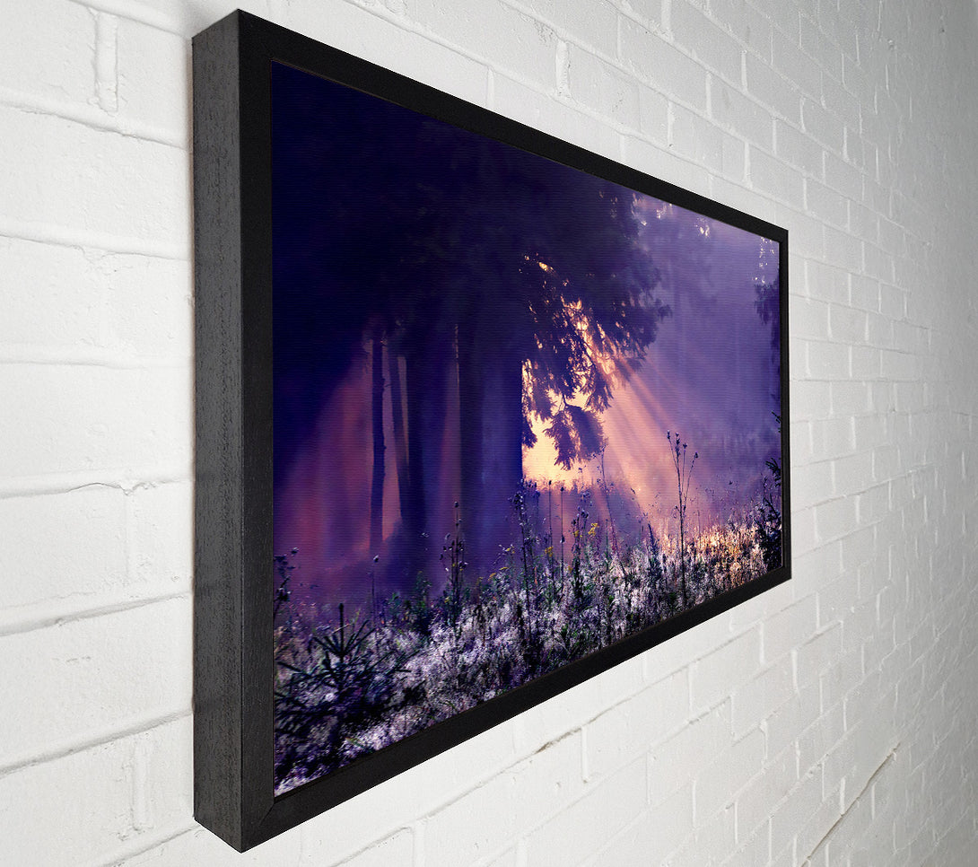  A Canvas Print of Sunray Tree Canvas Wall Art