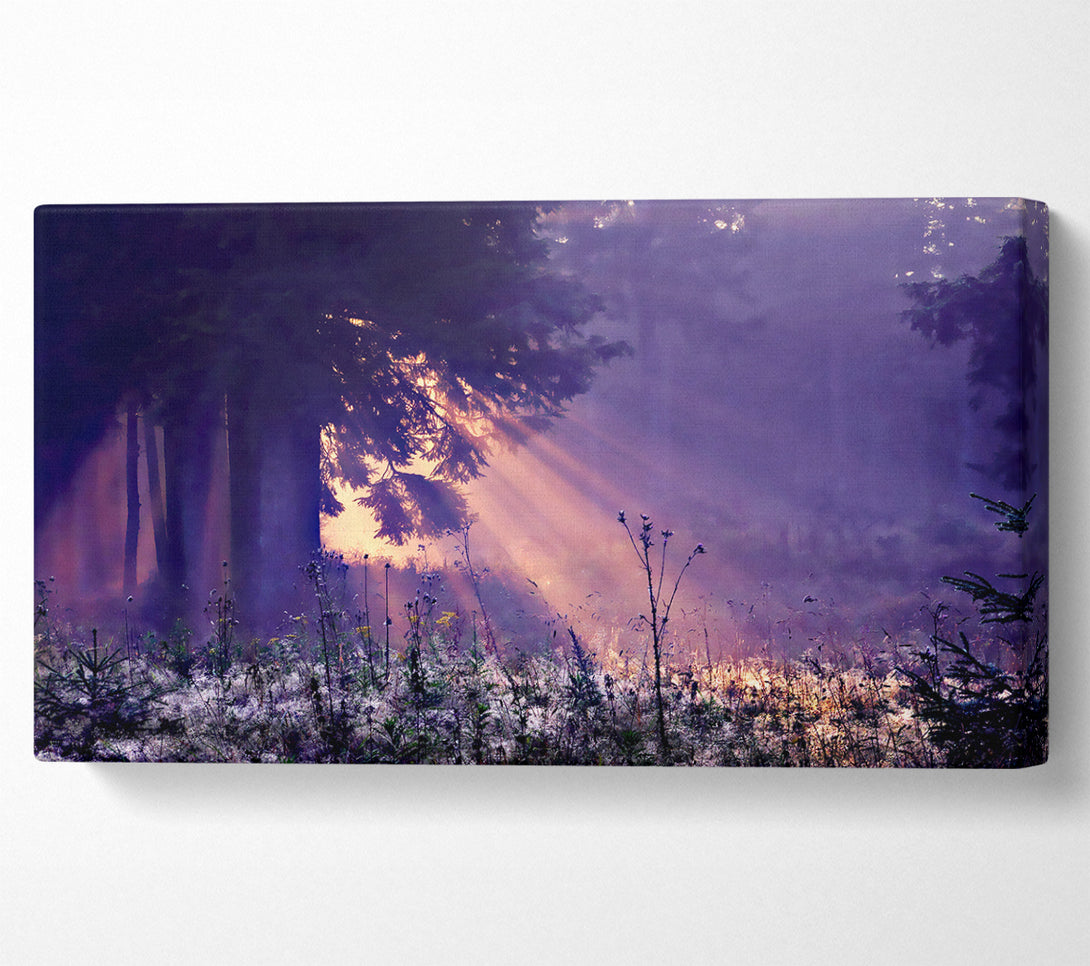  A Canvas Print of Sunray Tree Canvas Wall Art