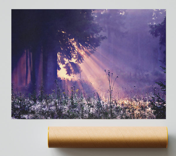 Sunray Tree Giclee Print