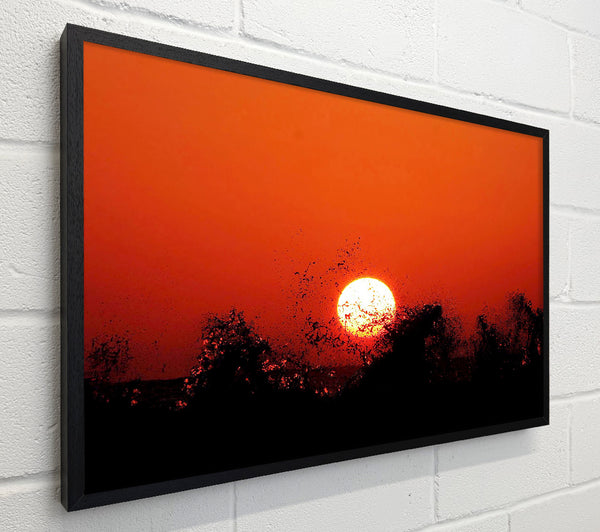 Red Sun Delight