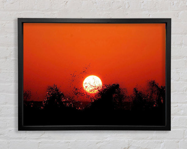 Rote Sonnenfreude