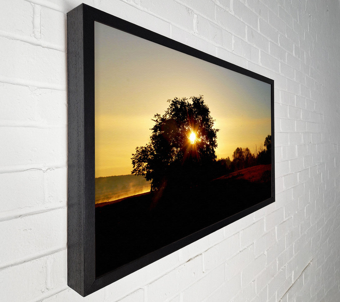  A Canvas Print of Sun Piercing Through The Tree Canvas Art