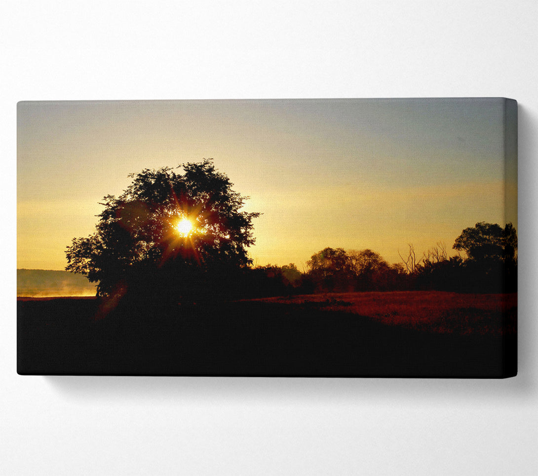  A Canvas Print of Sun Piercing Through The Tree Canvas Art