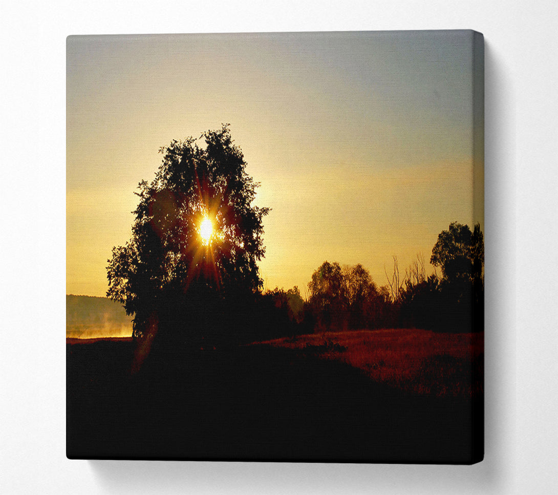  A Canvas Print of Sun Piercing Through The Tree Canvas Art