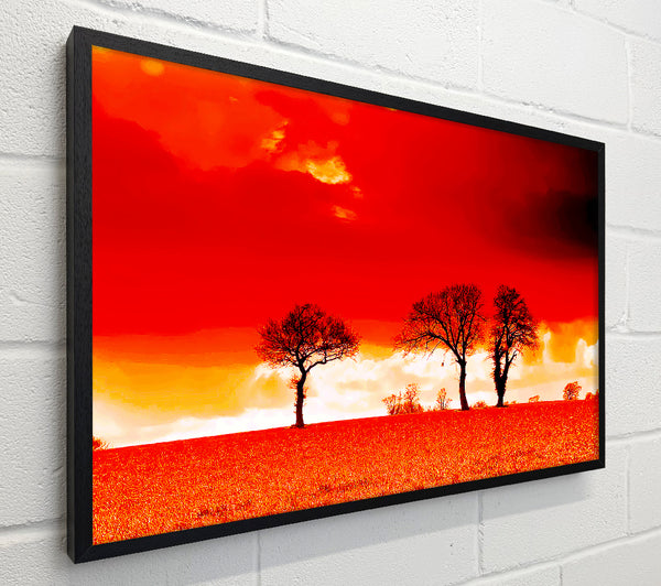 Red Sky Blaze