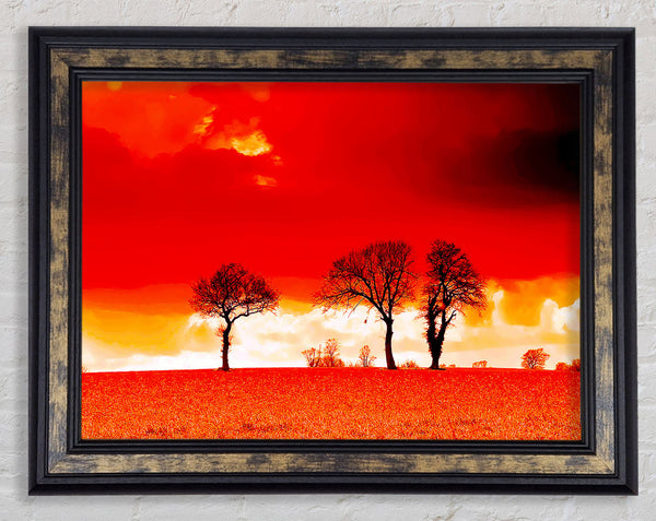 Red Sky Blaze Framed Print