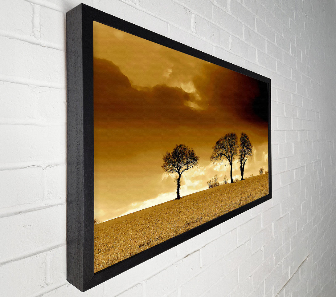  A Canvas Print of Chocolate Treeline Clouds Canvas Print