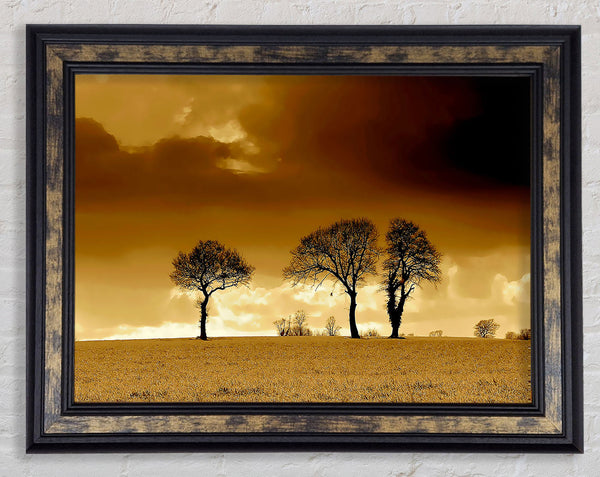 Chocolate Treeline Clouds Framed Print