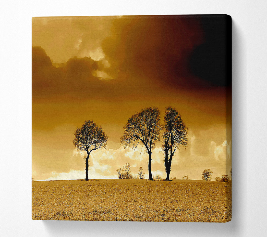  A Canvas Print of Chocolate Treeline Clouds Canvas Print