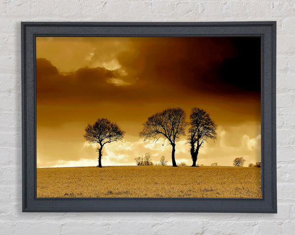 Chocolate Treeline Clouds Framed Print