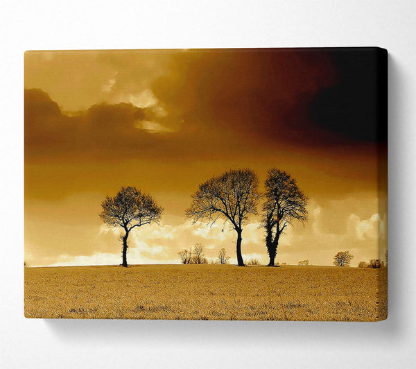  A Canvas Print of Chocolate Treeline Clouds Canvas Print