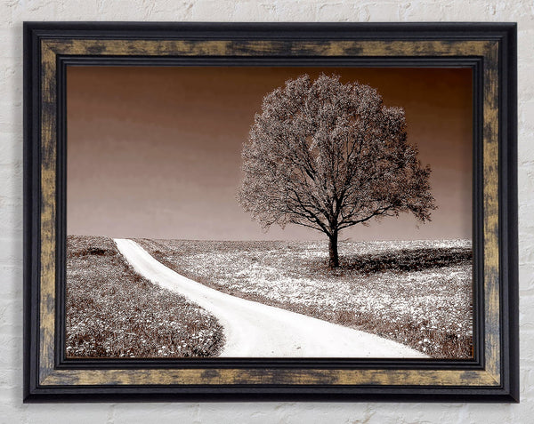 Summers Day Sepia Tone Framed Print