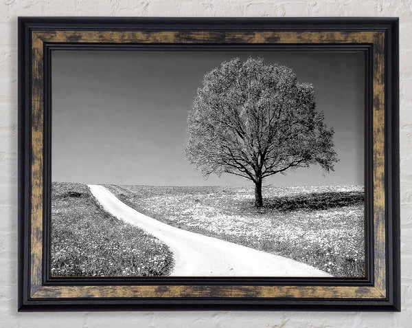 Summers Day B n W Framed Print