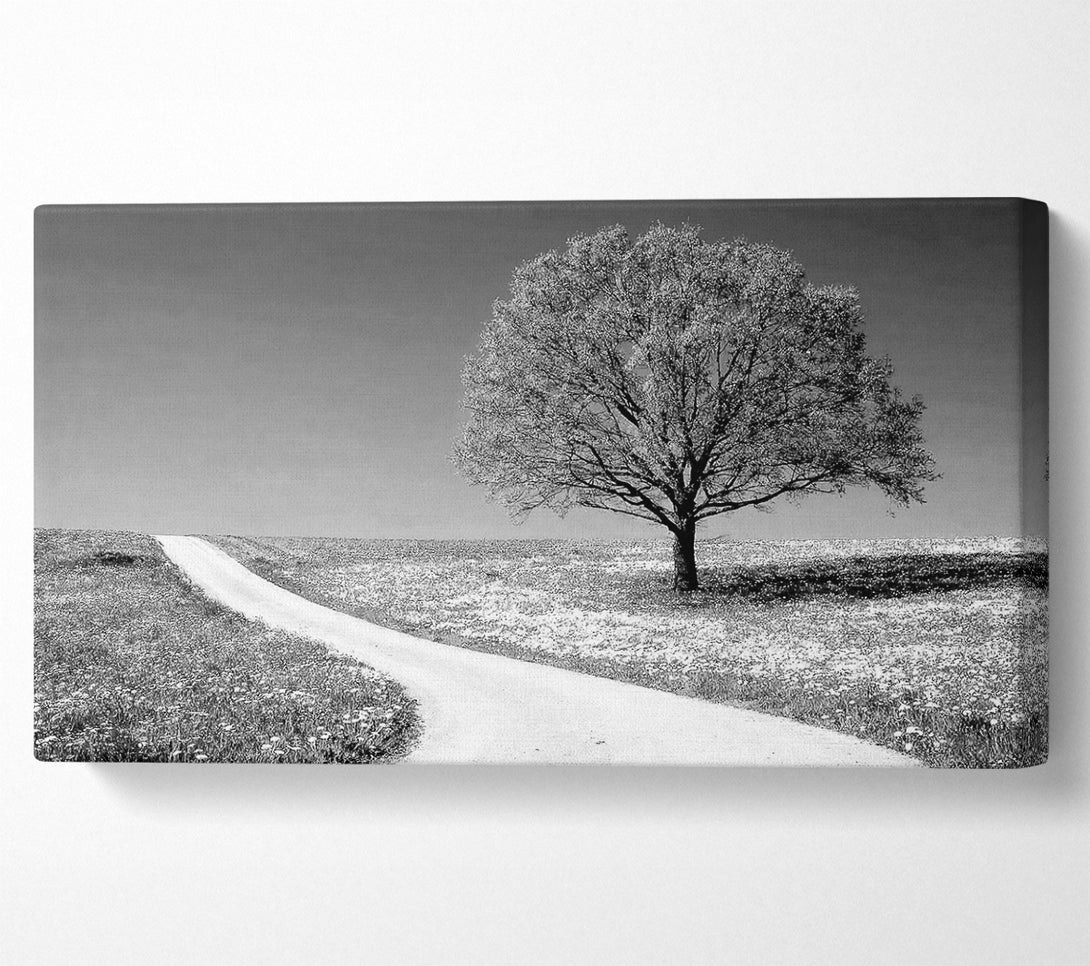  A Canvas Print of Summers Day B n W Canvas Print
