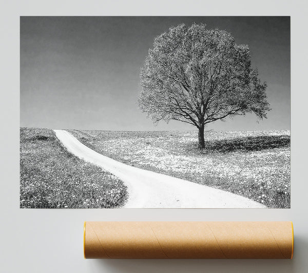 Summers Day B N W Giclee Print