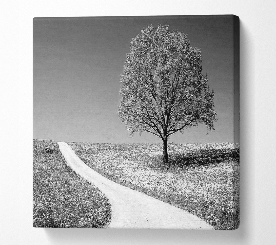  A Canvas Print of Summers Day B n W Canvas Print