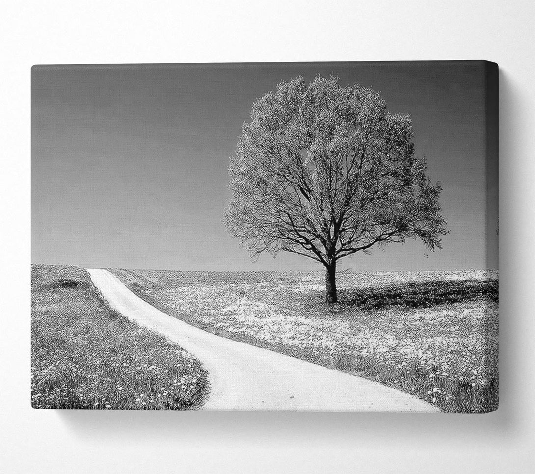  A Canvas Print of Summers Day B n W Canvas Print