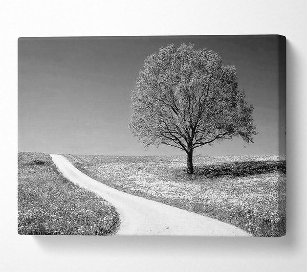  A Canvas Print of Summers Day B n W Canvas Print