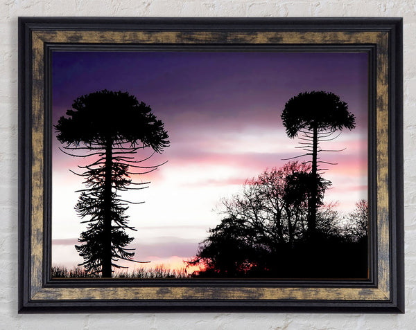 Lavender Skies Framed Print
