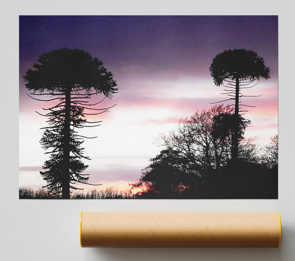 Lavender Skies Print