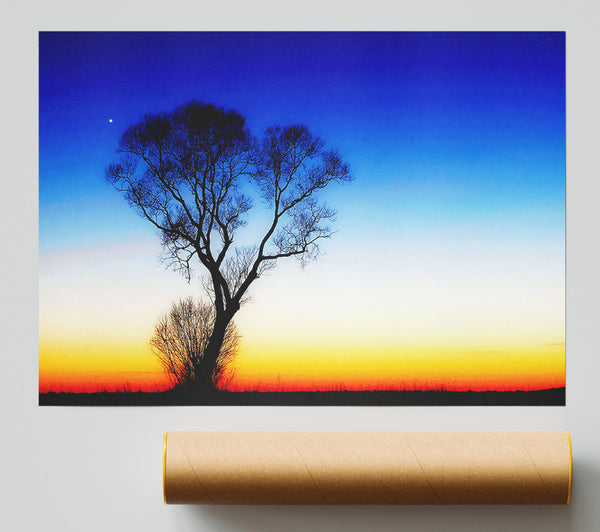 Magical Skies Poster