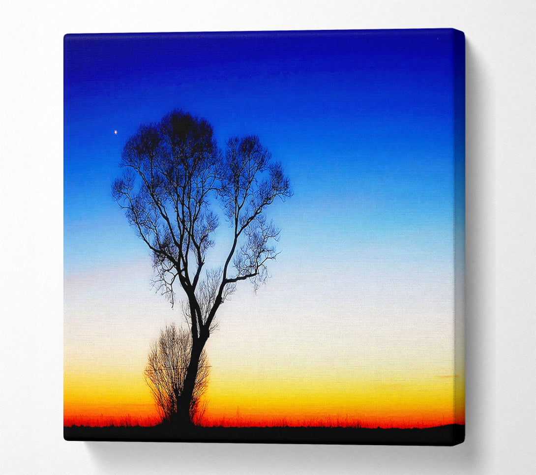  A Canvas Print of Magical Skies Canvas Print