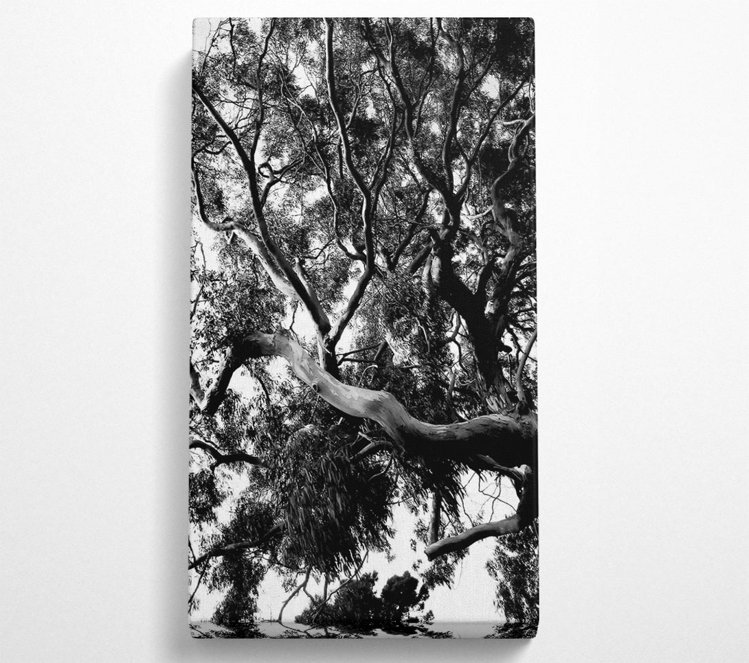  A Canvas Print of Tree In The Wind B n W Canvas Print