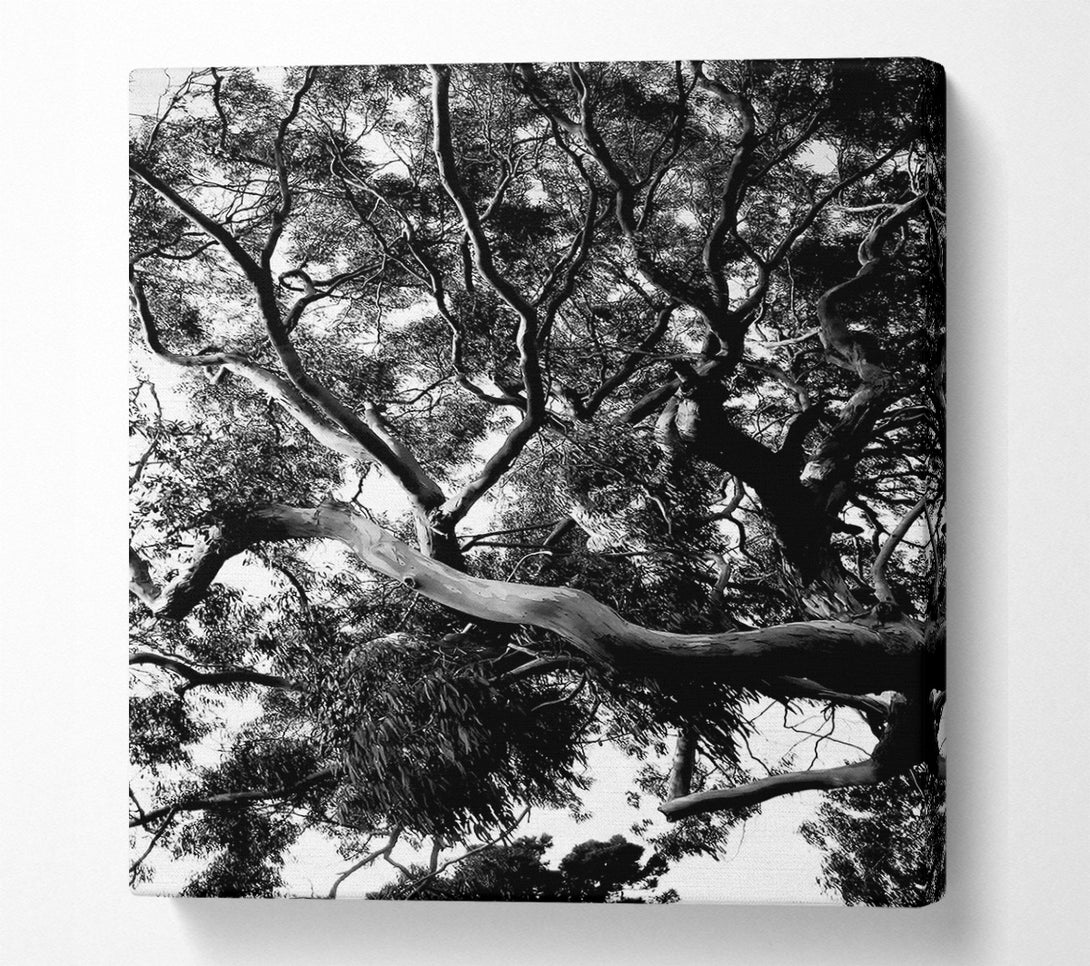  A Canvas Print of Tree In The Wind B n W Canvas Print