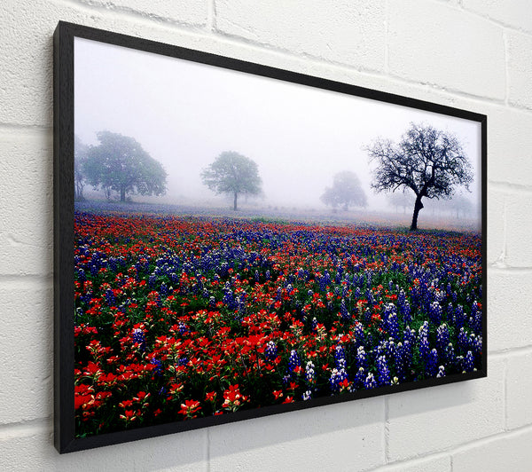 Field Of Flowers In The Morning Mist