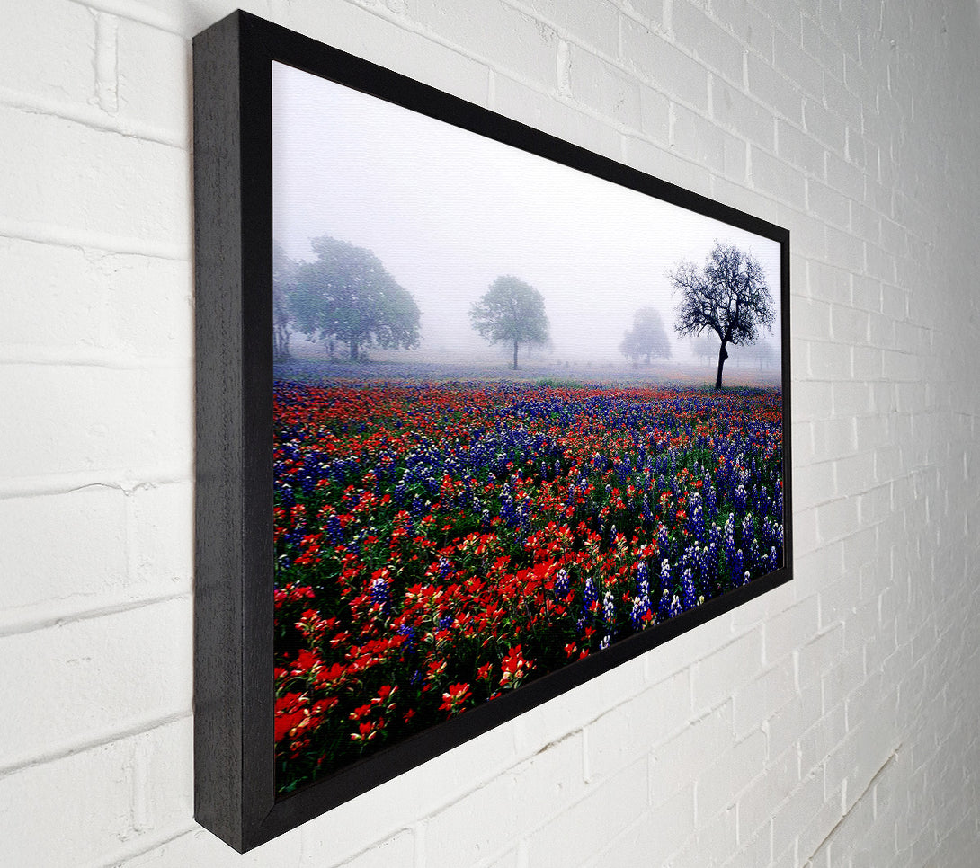 A Canvas Print of Field Of Flowers In The Morning Mist Canvas Print