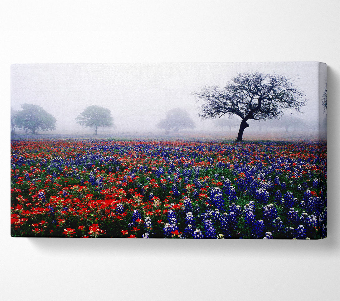  A Canvas Print of Field Of Flowers In The Morning Mist Canvas Print