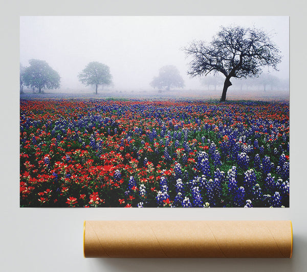 Field Of Flowers In The Morning Mist Giclee Print