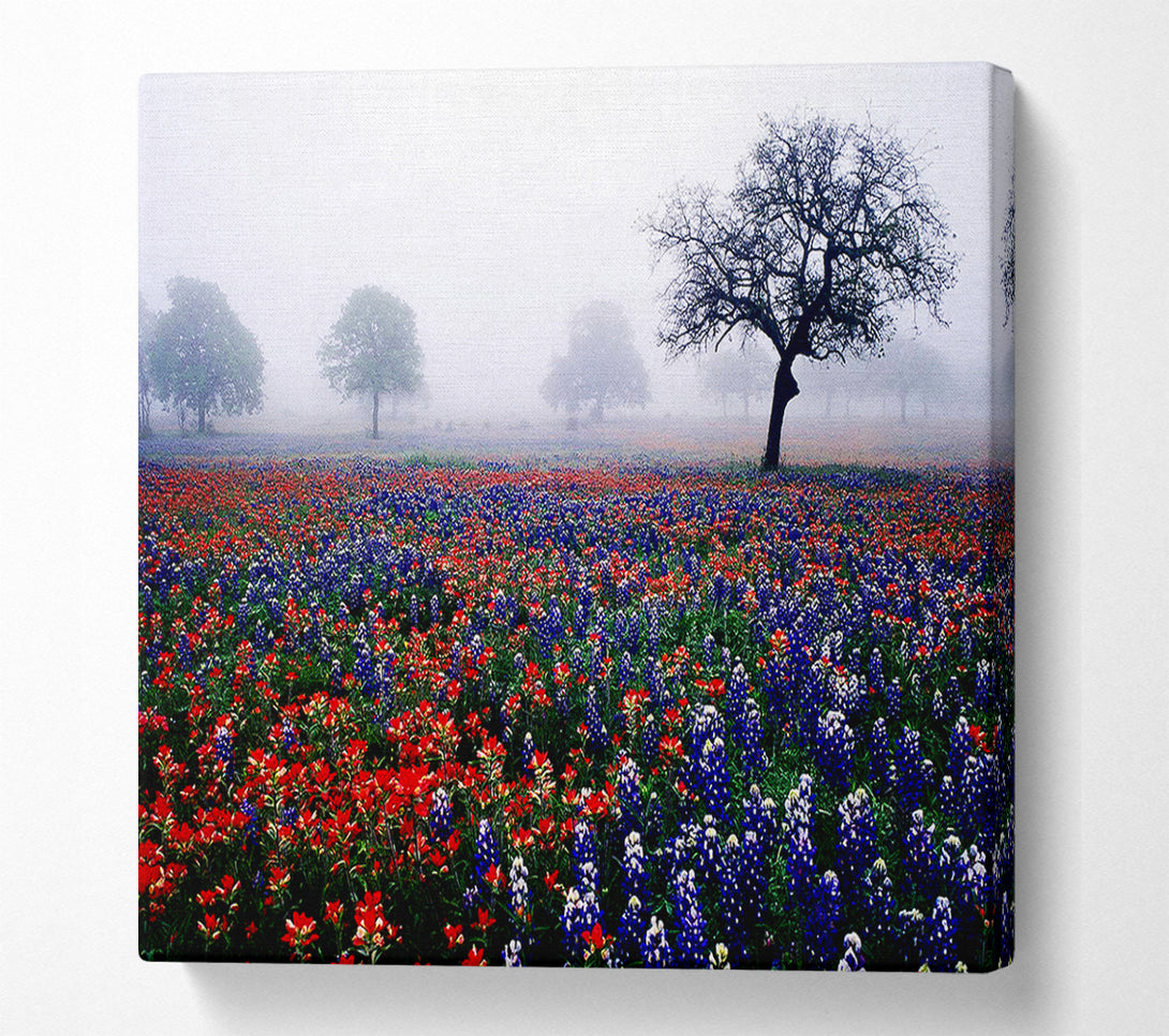  A Canvas Print of Field Of Flowers In The Morning Mist Canvas Print