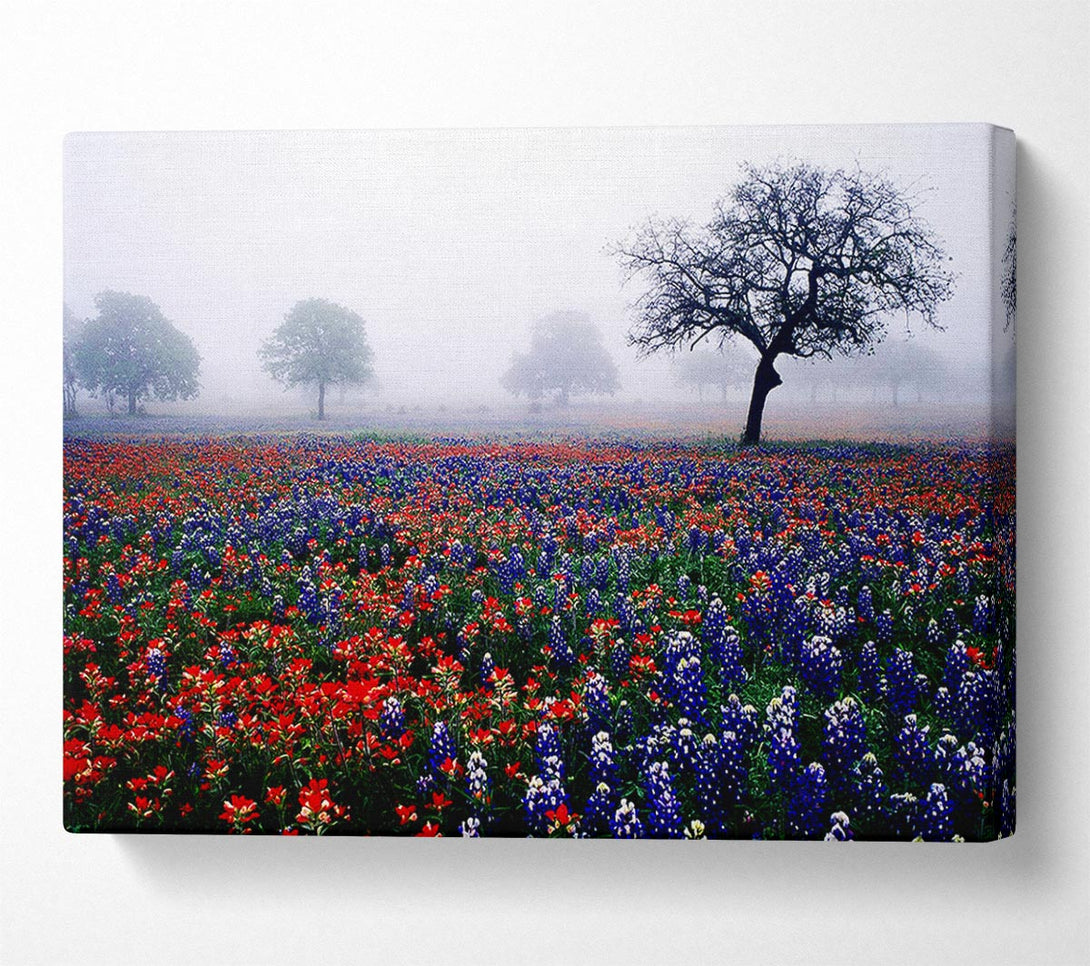  A Canvas Print of Field Of Flowers In The Morning Mist Canvas Print